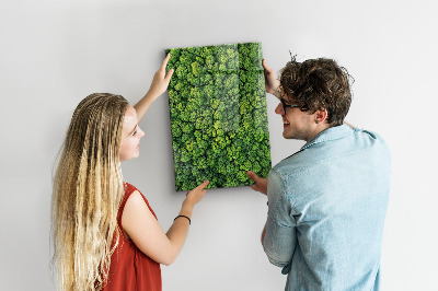 Tableau pour magnet Nature des arbres forestiers