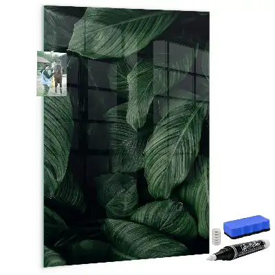 Tableau magnétique pour écrire modèle Jungle de feuilles
