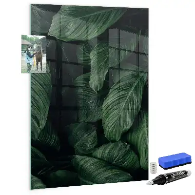 Tableau magnétique pour écrire modèle Jungle de feuilles