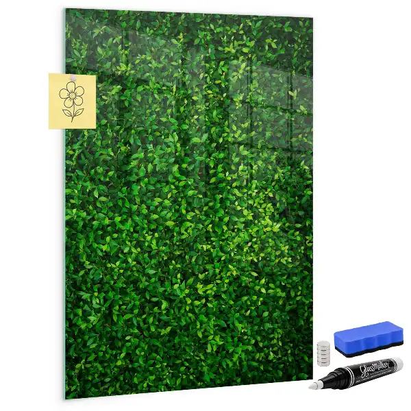 Tableau magnétique pour dessiner motif haie de feuilles