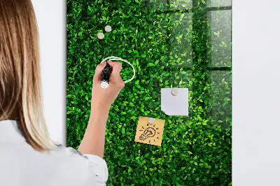Tableau magnétique pour dessiner motif haie de feuilles