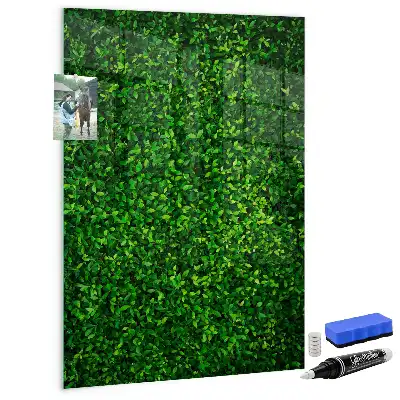 Tableau magnétique pour dessiner motif haie de feuilles