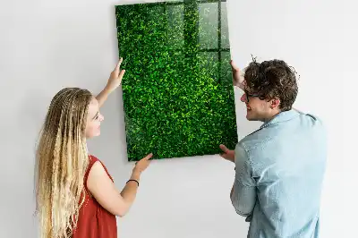 Tableau magnétique pour dessiner motif haie de feuilles