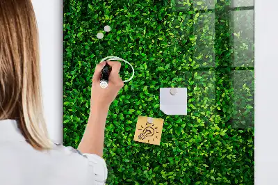 Tableau magnétique pour dessiner motif haie de feuilles