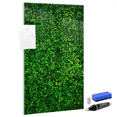 Tableau magnétique pour dessiner motif haie de feuilles