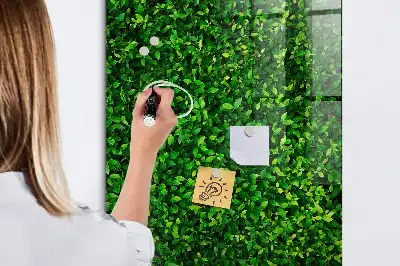 Tableau magnétique pour dessiner motif haie de feuilles