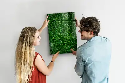 Tableau magnétique pour dessiner motif haie de feuilles