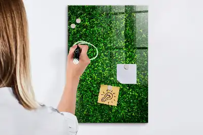 Tableau magnétique pour dessiner motif haie de feuilles