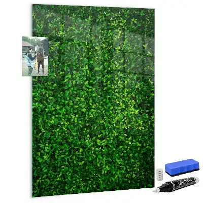 Tableau magnétique pour dessiner motif haie de feuilles