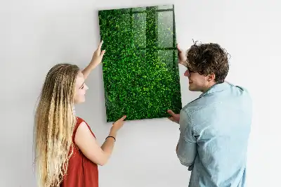 Tableau magnétique pour dessiner motif haie de feuilles