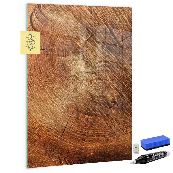Tableau magnétique pour dessiner motif de coupe transversale d'un tronc