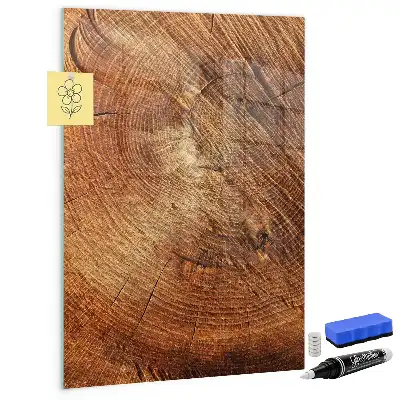Tableau magnétique pour dessiner motif de coupe transversale d'un tronc