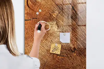Tableau magnétique pour dessiner motif de coupe transversale d'un tronc