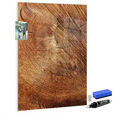 Tableau magnétique pour dessiner motif de coupe transversale d'un tronc