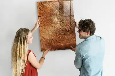 Tableau magnétique pour dessiner motif de coupe transversale d'un tronc