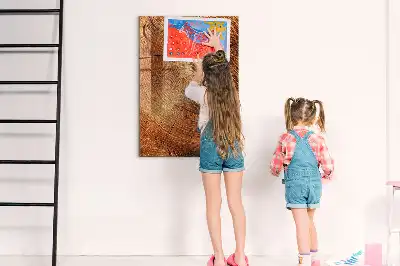 Tableau magnétique pour dessiner motif de coupe transversale d'un tronc