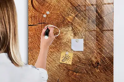 Tableau magnétique pour dessiner motif de coupe transversale d'un tronc