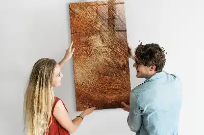Tableau magnétique pour dessiner motif de coupe transversale d'un tronc