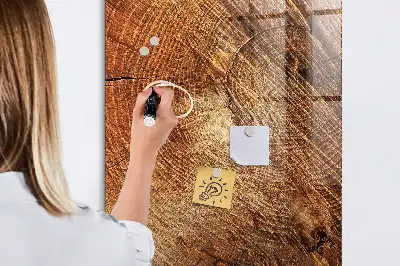 Tableau magnétique pour dessiner motif de coupe transversale d'un tronc