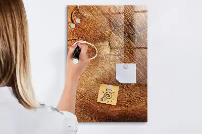 Tableau magnétique pour dessiner motif de coupe transversale d'un tronc