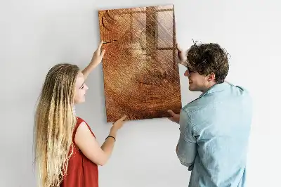 Tableau magnétique pour dessiner motif de coupe transversale d'un tronc