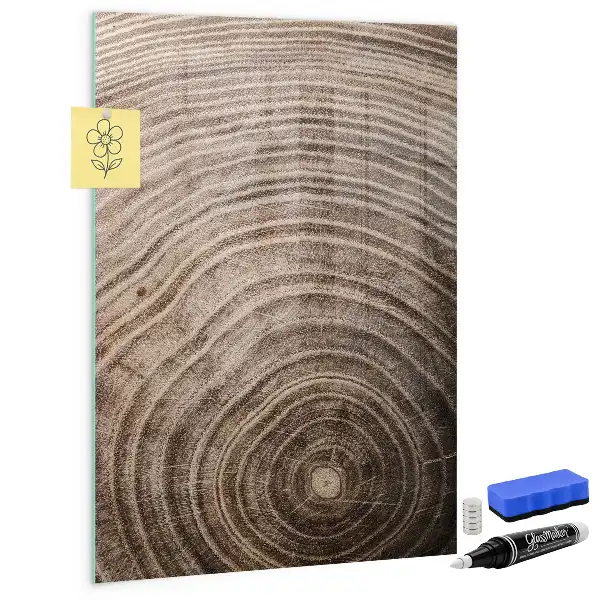 Tableau magnétique pour dessiner motif cernes d'arbre