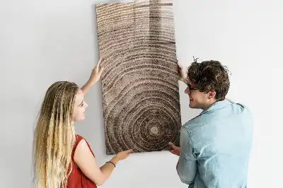 Tableau magnétique pour dessiner motif cernes d'arbre