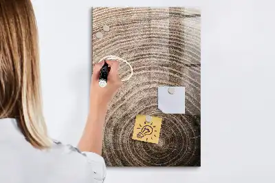 Tableau magnétique pour dessiner motif cernes d'arbre