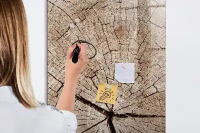 Tableau magnétique effaçable à sec représentant une coupe transversale de tronc