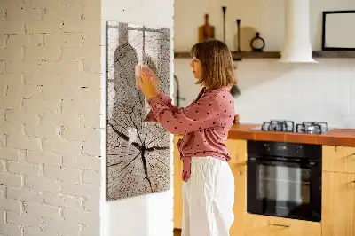 Tableau magnétique effaçable à sec représentant une coupe transversale de tronc