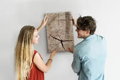 Tableau magnétique effaçable à sec représentant une coupe transversale de tronc