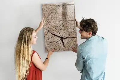 Tableau magnétique effaçable à sec représentant une coupe transversale de tronc