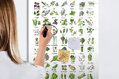 Tableau magnétique effaçable à sec motif légumes verts