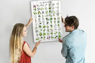 Tableau magnétique effaçable à sec motif légumes verts