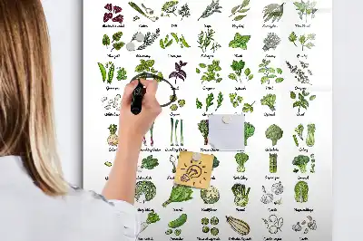 Tableau magnétique effaçable à sec motif légumes verts