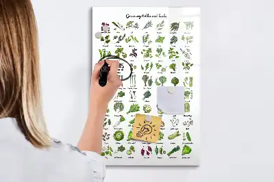 Tableau magnétique effaçable à sec motif légumes verts