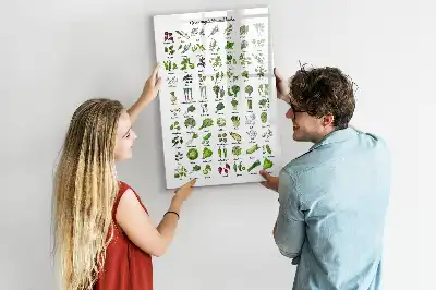 Tableau magnétique effaçable à sec motif légumes verts