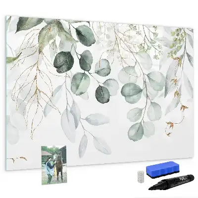 Tableau magnétique pour dessiner plantes suspendues