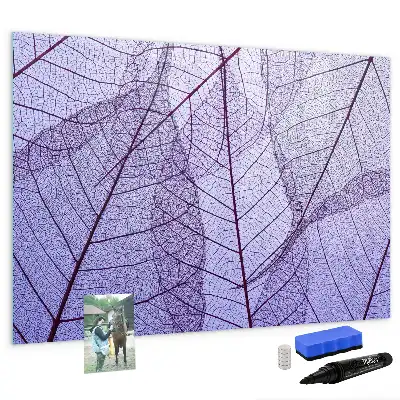 Tableau magnétique pour dessiner modèle feuilles de la nature