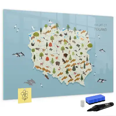 Tableau magnétique pour dessiner carte des animaux de Pologne