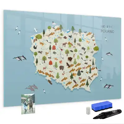 Tableau magnétique pour dessiner carte des animaux de Pologne