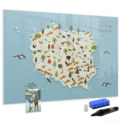 Tableau magnétique pour dessiner carte des animaux de Pologne
