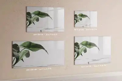 Tableau magnétique à dessiner motif feuilles abstraites