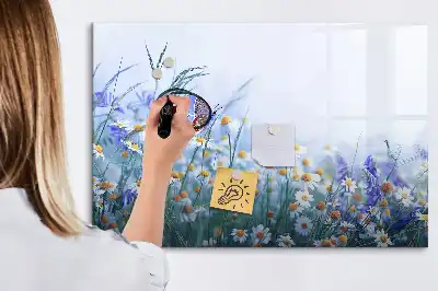 Tableau magnétique pour dessiner motif papillon sur la prairie