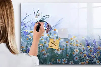 Tableau magnétique pour dessiner motif papillon sur la prairie