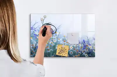 Tableau magnétique pour dessiner motif papillon sur la prairie