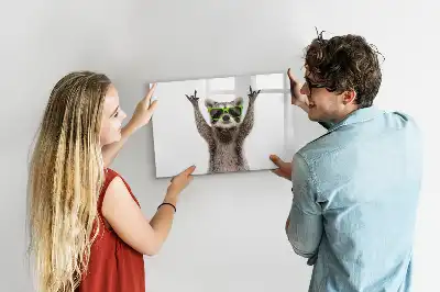 Tableau magnétique à dessiner motif succulentes avec lunettes