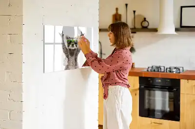Tableau magnétique à dessiner motif succulentes avec lunettes