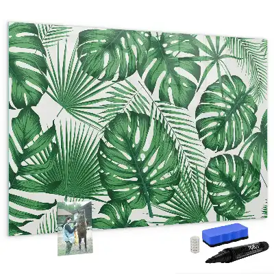 Tableau magnétique à dessiner motif feuilles de monstera