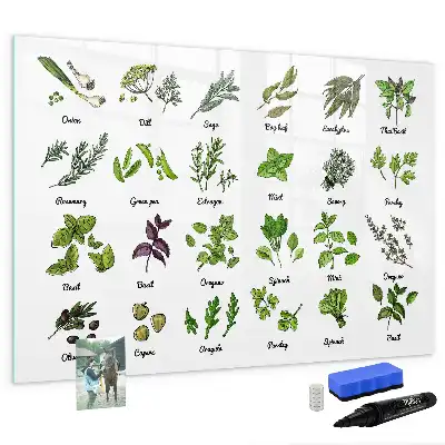 Tableau magnétique à dessiner modèle types d'arbres